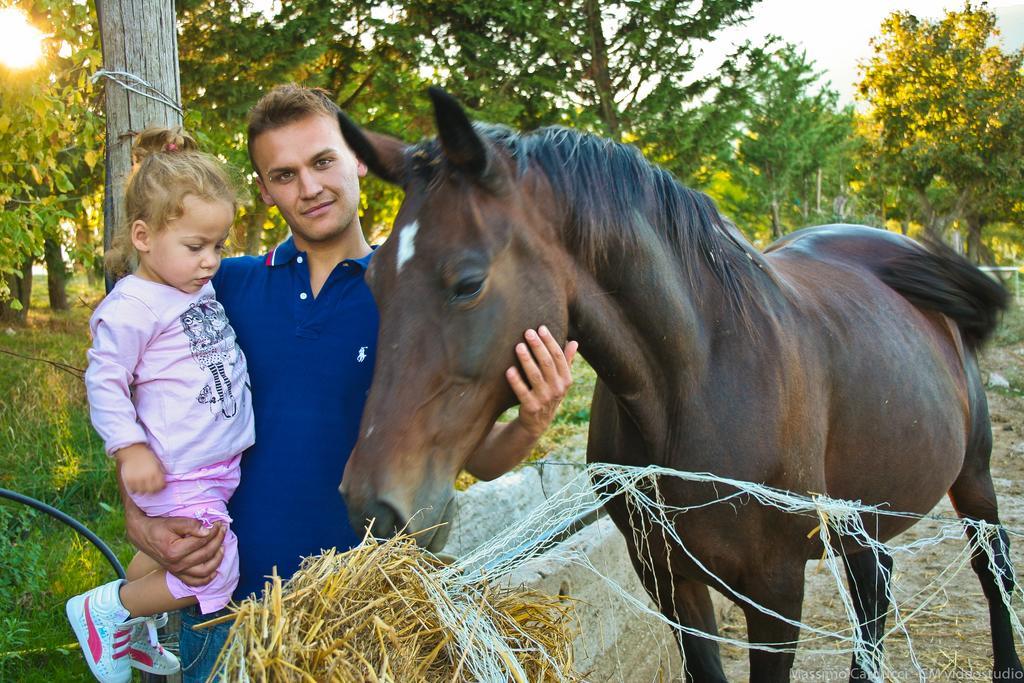 Agriturismo San Vito Crocemaroggia エクステリア 写真
