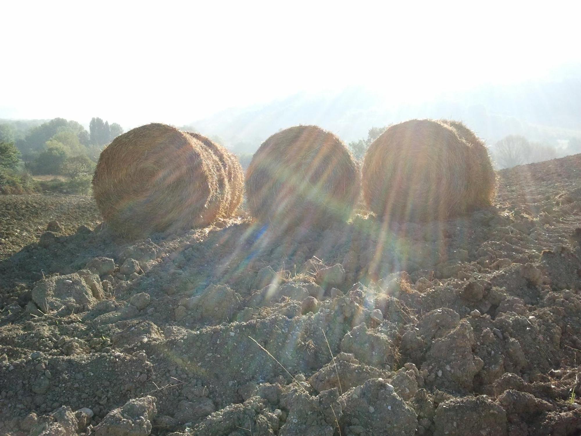 Agriturismo San Vito Crocemaroggia エクステリア 写真